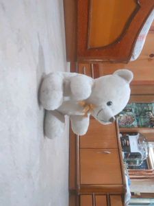White Colour Teddy Bear