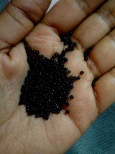 Black Motti🖤