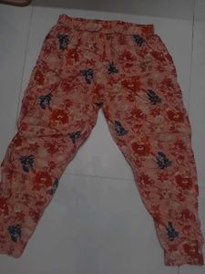 Daily Wear Pant For Women
