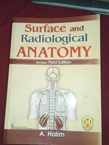surface and radiological anatomy