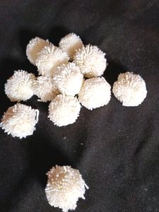 Pom Pom