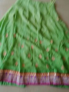 Green skirt with purple and red border