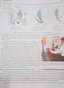 Chemistry Book For Class 10th