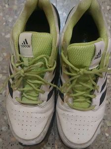 Am Selling My 8 Pairs Of Used Branded Shoes Size 9