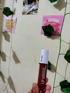 Zudio Lip Mousse