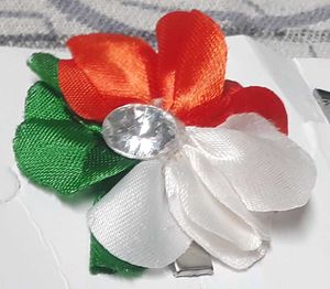 Hair Band