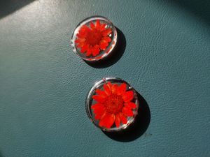 Daisy Flower Earrings🌸