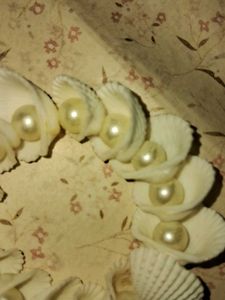 White Beads And  Sea Sell Brascket