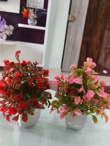 2 Combo Flower With Vash