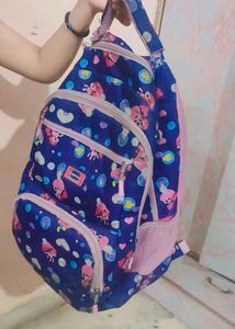 School Bag 5th To 8th Standard