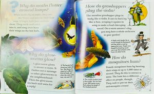 Spiders Spin Webs/ I Wonder Why Children Book