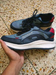 Asian Sports Shoes For Men, Women, Children