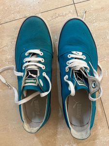 Price Reduced - Sneakers In Good Condition