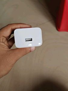 Original Charger 33 Watts