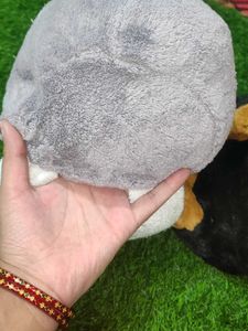 4 Toys Combo