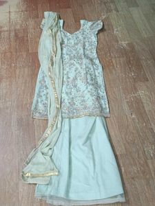 Elegant Mint Green Salwar Suit