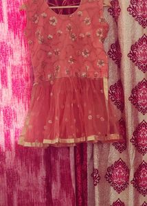 Embroidered Peach lehenga choli