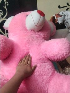 Pink Teddy Bear - Soft and Cuddly  big size coine❌
