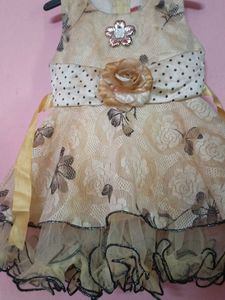 Elegant Flower Girl Dress