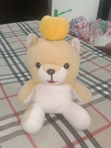 Teddy 🧸🐻