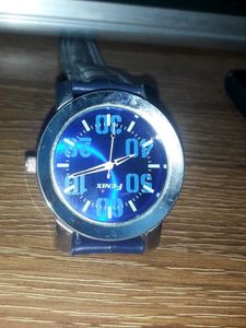 Fenix Watch