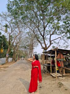 Saree And Blouse