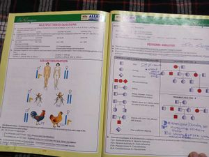 Bioimagica Textbook