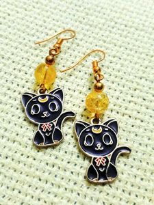 Alluring Black Earrings