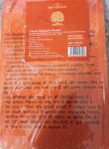 2 Mukhi Rudraksha Pendant