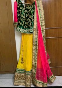 Gorgeous Indian Lehenga Choli Set