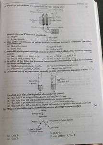 CBSE Sample Question Papers Science Classs 10