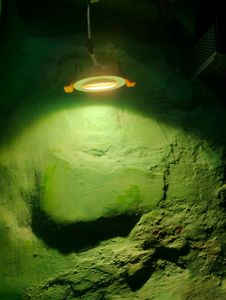 Abtech Light Green Surface