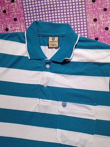 Maxcity Collar T Shirt Blue And White Colour T Shirt XXL no Flaws Koi Daag Dhabba Nahi Hai Collar Tshirt Xxl Full Size