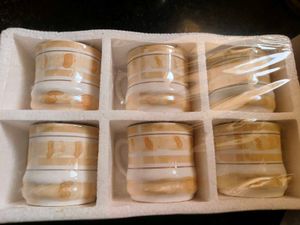 Set of 6 Bio China Cups