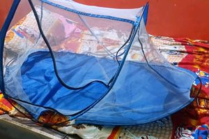 Baby Mosquito Net