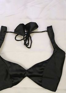 Satin Non Padded 1 Back Hook Deep Neck Blouse