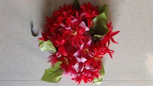 Diwar Flower 🌹