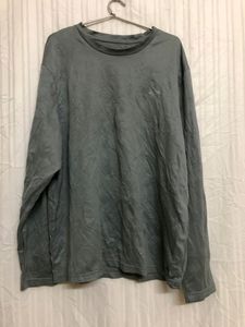 Champion Grey T Shirt