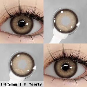 Asura Brown By Gemineye-cosmetic Kit