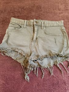 Olive Green Shorts