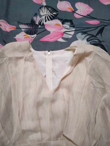 Butterfly Peplum Top With Light Shimmer