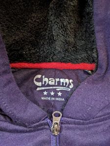 Purple Sleeveless Hoodie