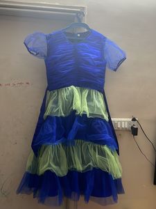 Party Wear Gown