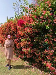 Pink Dress For Beach, Casual Wear