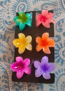 Flower Hair Clips -Any 2 random colour