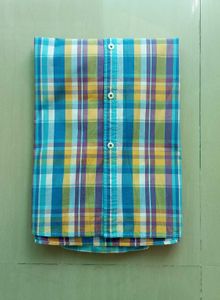 Branded Shirt by Park Avenue (100% Cotton)