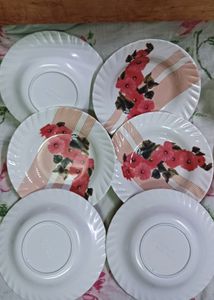 Fiber Plates 🍽️