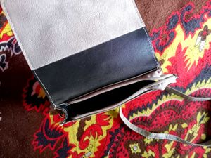 Quit Cat Look😺 Silver Sling Bag 👜