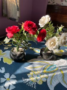 Set of 2 artificial rose plants - Red and White