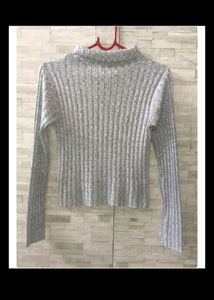 Turtle Neck Top
